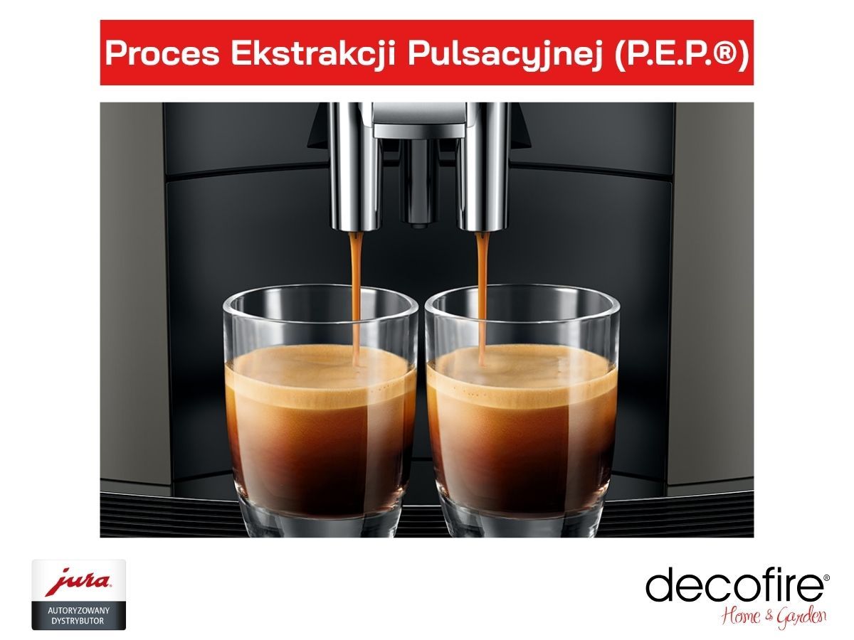 Proces Ekstrakcji Pulsacyjnej (P.E.P.®)