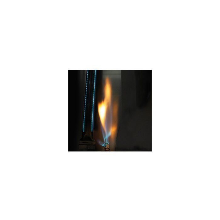 Grill gazowy Napoleon Triumph T495 z bocznym palnikiem (T495SB)