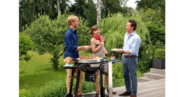 Popularne serie grilli węglowych Landmann