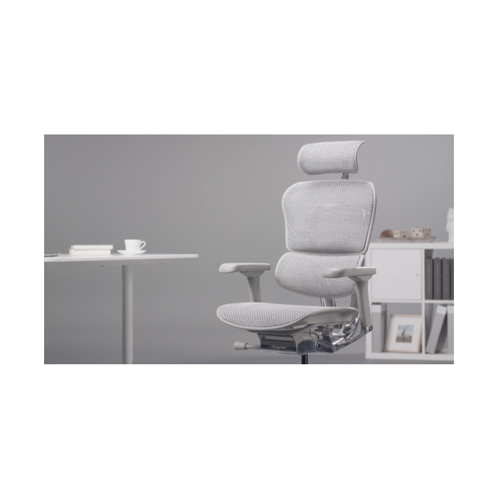 Fotel biurowy Grospol Ergohuman 2 Elite ST GS Grey