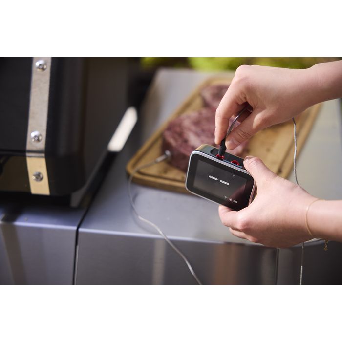 Wyświetlacz Smart Hub Booster Weber (3400624)