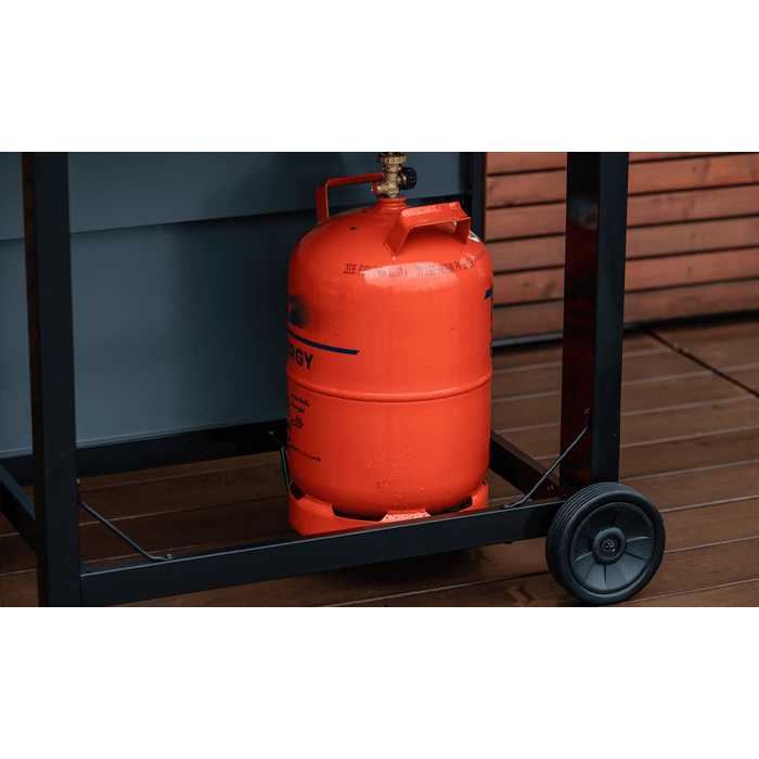 Grill gazowy Campingaz Select Seria 4 S 