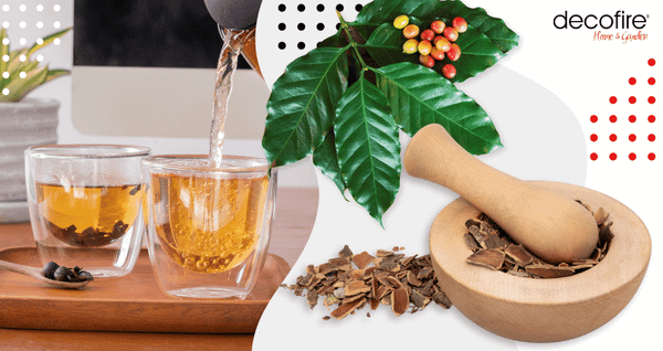 Cascara – co to jest i jak ją parzyć?