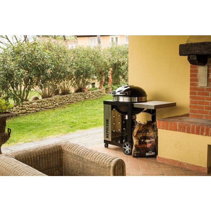 Grill węglowy Napoleon PRO22K-CART-2