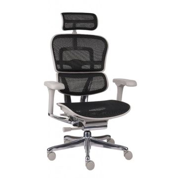 Grospol Fotel biurowy Ergohuman 2 Elite ST GS Black