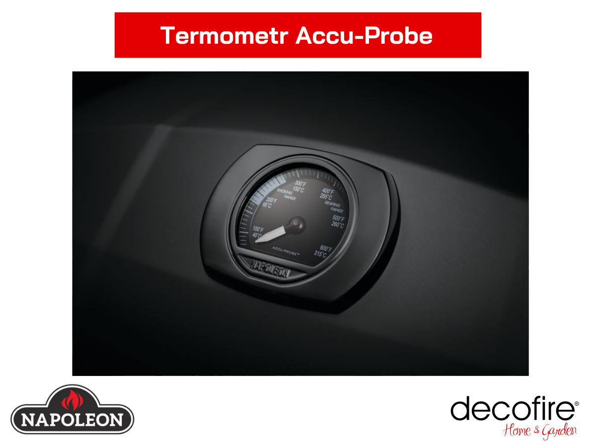 Termometr Accu Probe