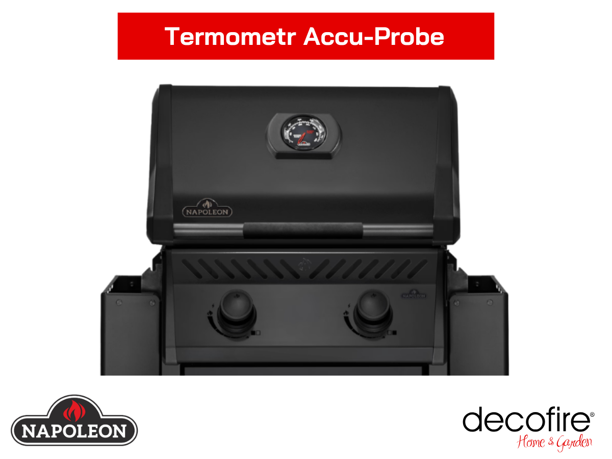 Termometr Accu Probe