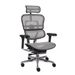 Fotel biurowy Grospol Ergohuman 2 Elite ST BS Grey