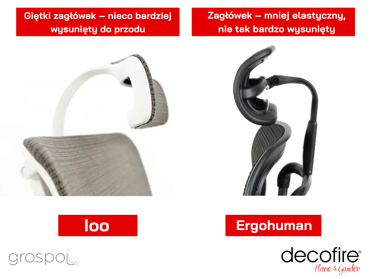 Różnice Ergohuman i Ioo - zagłówek