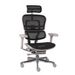 Grospol Fotel biurowy Ergohuman 2 Elite ST GS Black
